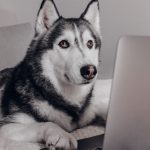 Как выбрать фрилансера для разработки сайта и какие услуги он может предложить image_188.jpg